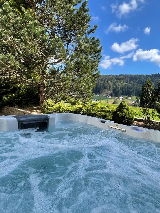 La Charbonniere, Grand Gite Haut-De-Gamme Avec Jacuzzi Et Sauna เฌราร์แมร์ ภายนอก รูปภาพ